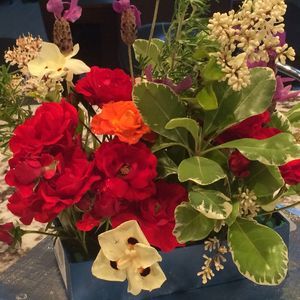 Meet your Posher, Subhashini